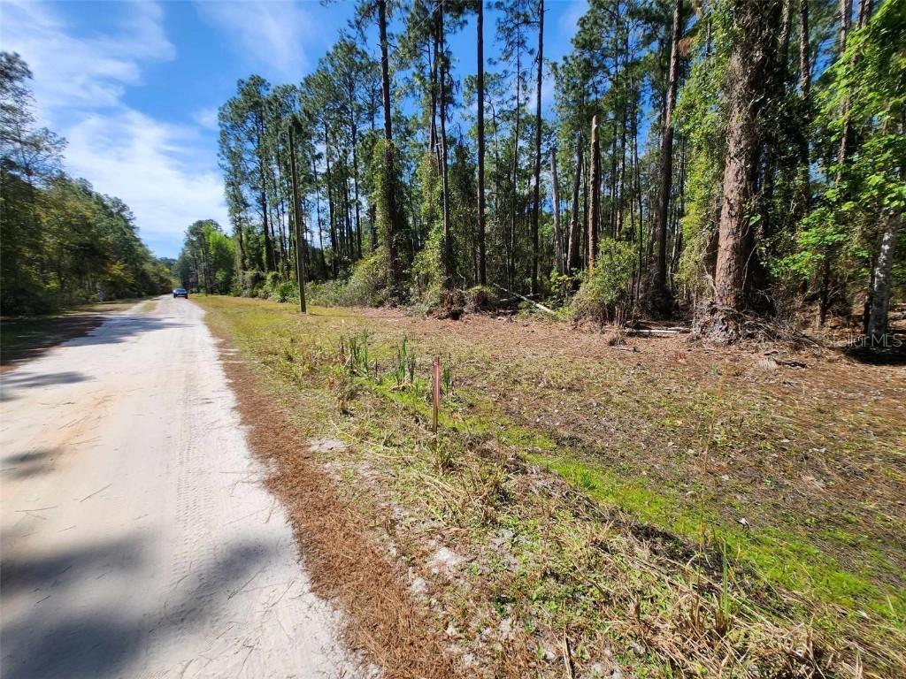 112 Mosswood St., Georgetown, FL 32139