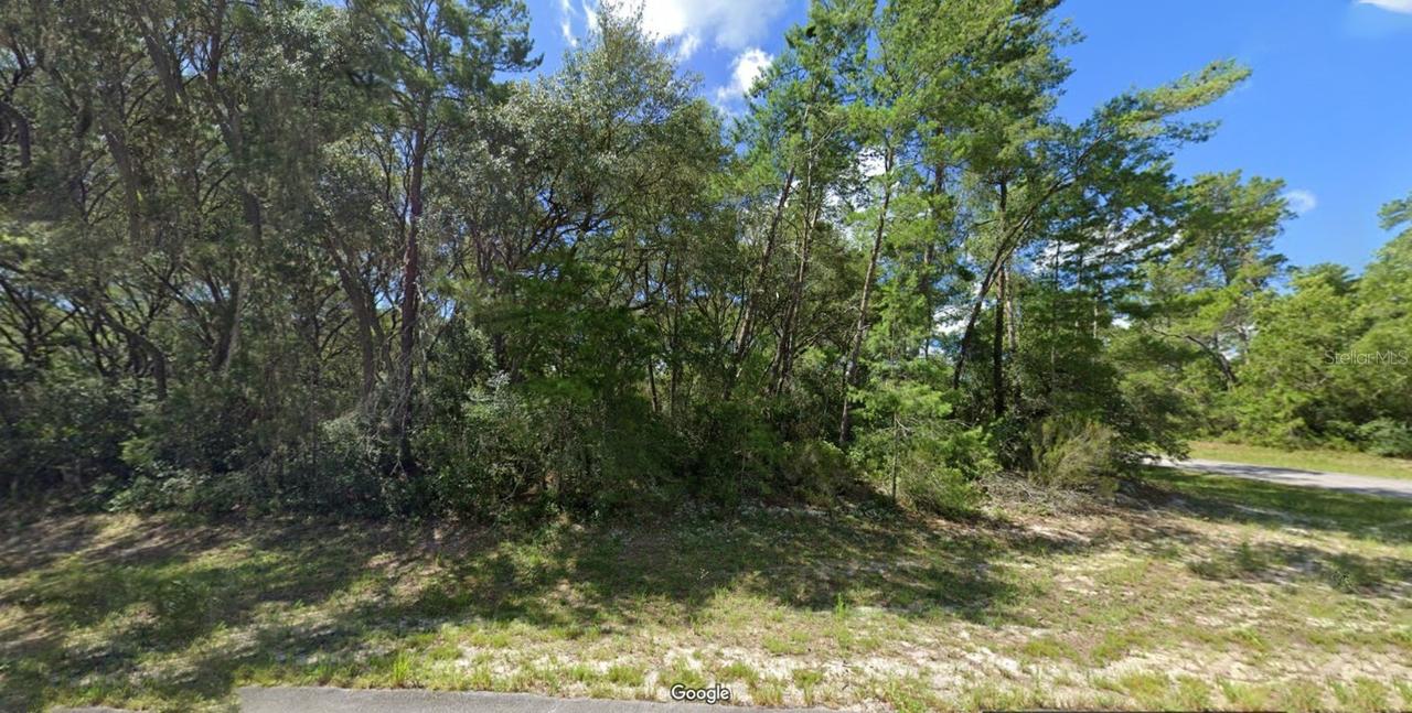 Lot 1 SW 177 Pl., Ocala, FL 34473