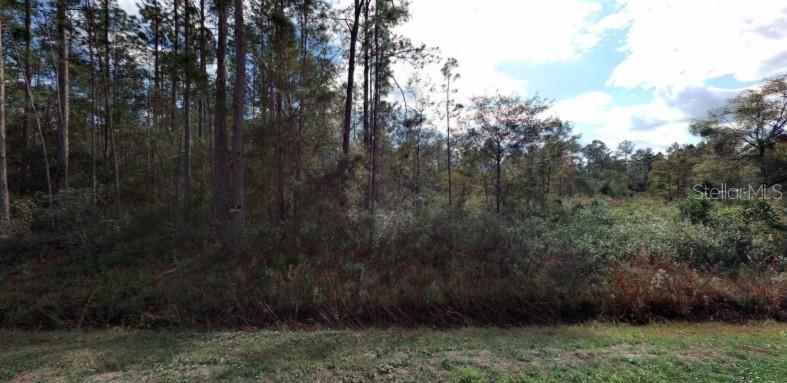 4355 Alvin  (tract 2018) St., Hastings, FL 32145