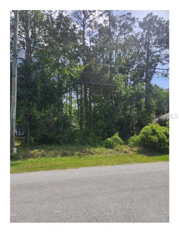 47 Birchwood Dr., Palm Coast, FL 32137