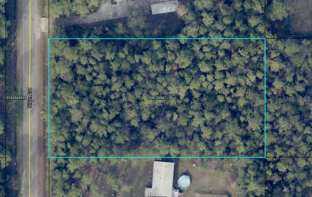 10230 Dillon Ave., Hastings, FL 32145