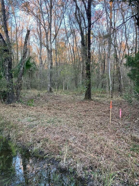 10450 Weatherby Ave., Hastings, FL 32145