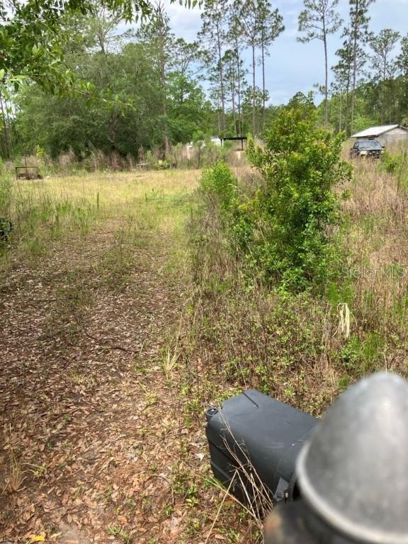 10775 Amos Ave., Hastings, FL 32145