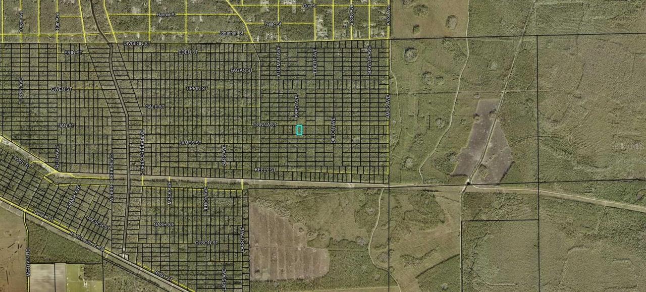 XXX Donna St., Hastings, FL 32145