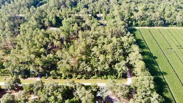 5075 Irving St., Hastings, FL 32145
