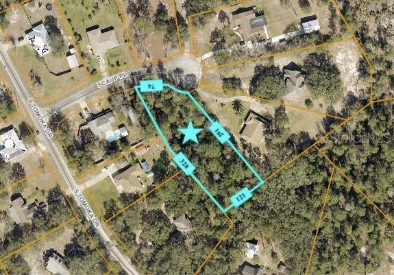 Scaup Pl., De Leon Springs, FL 32130