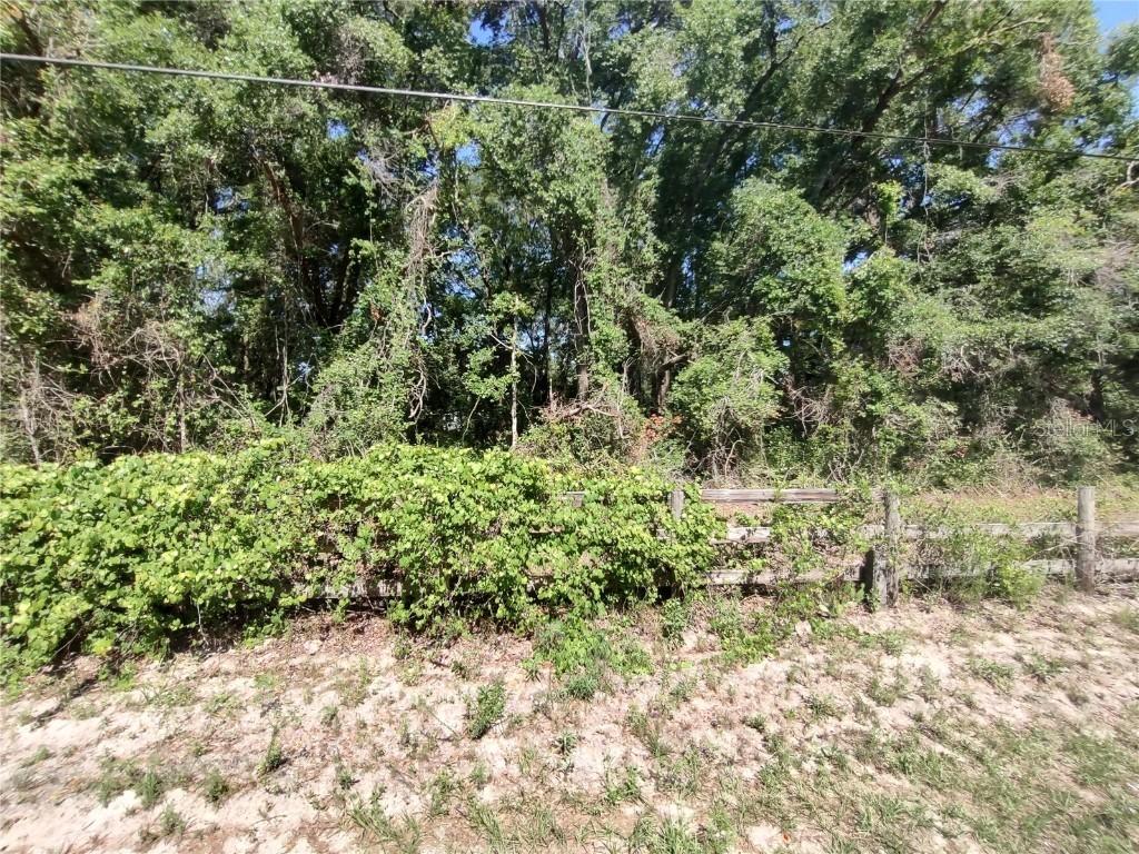 235 County Road 309, Satsuma, FL 32189