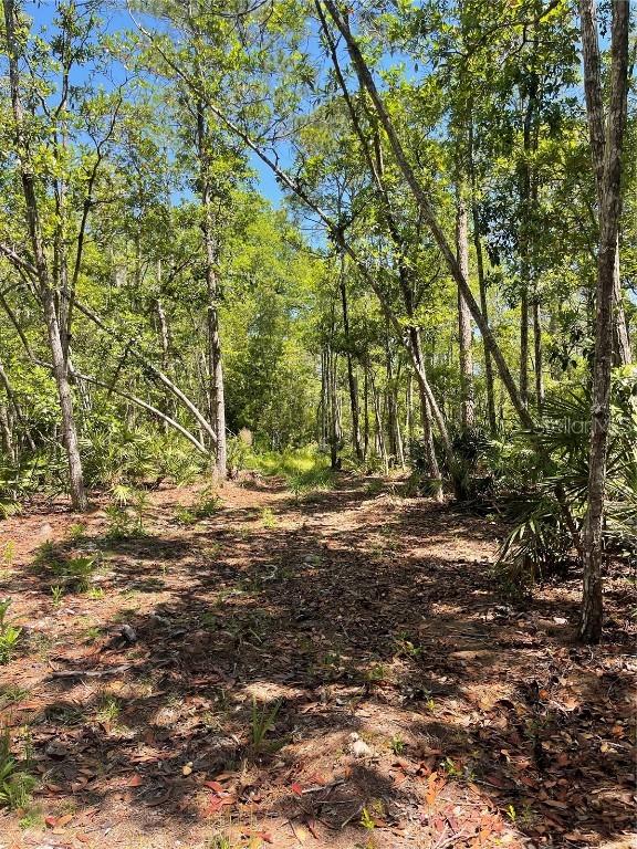 3781 Pine Pitch Ct., Ormond Beach, FL 32174