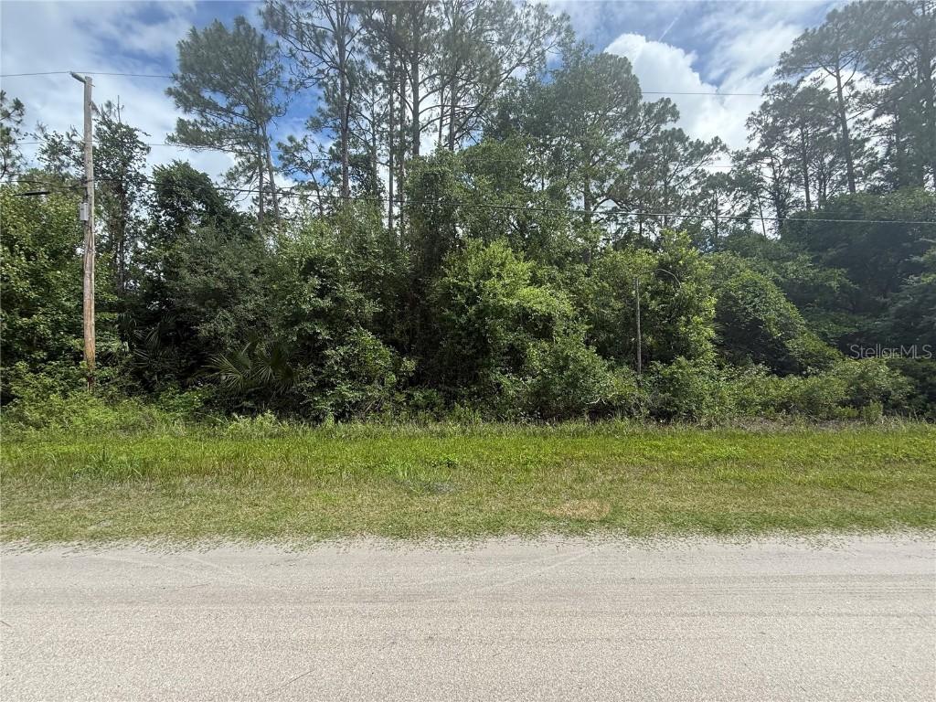 5670 Nutwood Ave., Bunnell, FL 32110