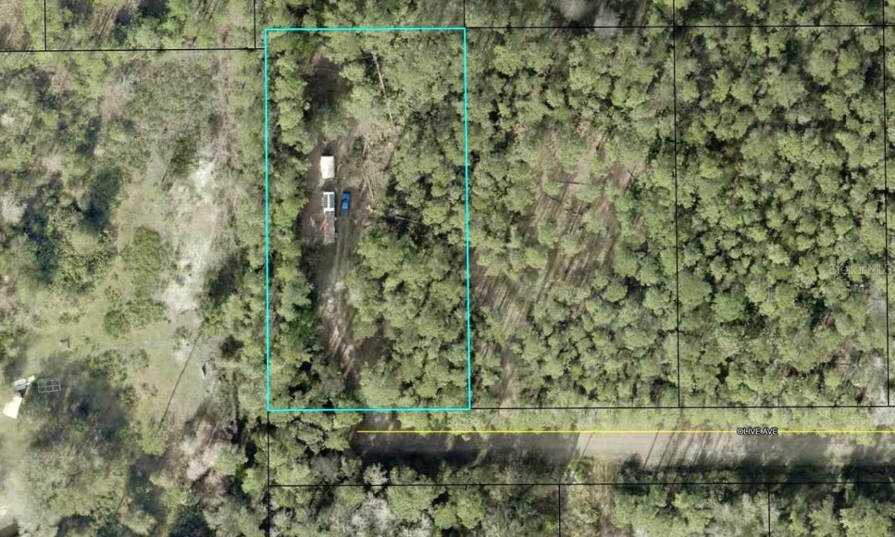 5334 Olive Ave., Bunnell, FL 32110