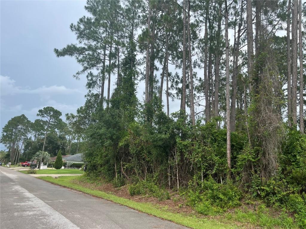 58 Brunett Ln., Palm Coast, FL 32137