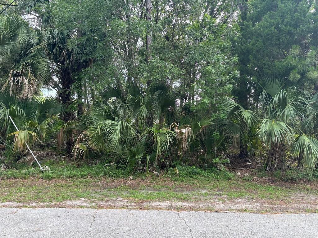 [Address Hidden by Seller], Palm Coast, FL 32164