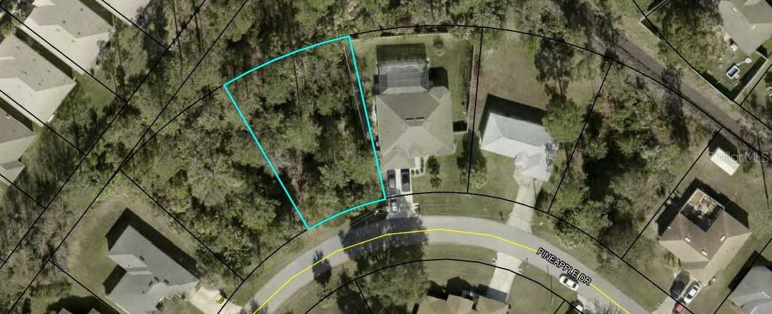 13 Pineapple Dr., Palm Coast, FL 32164