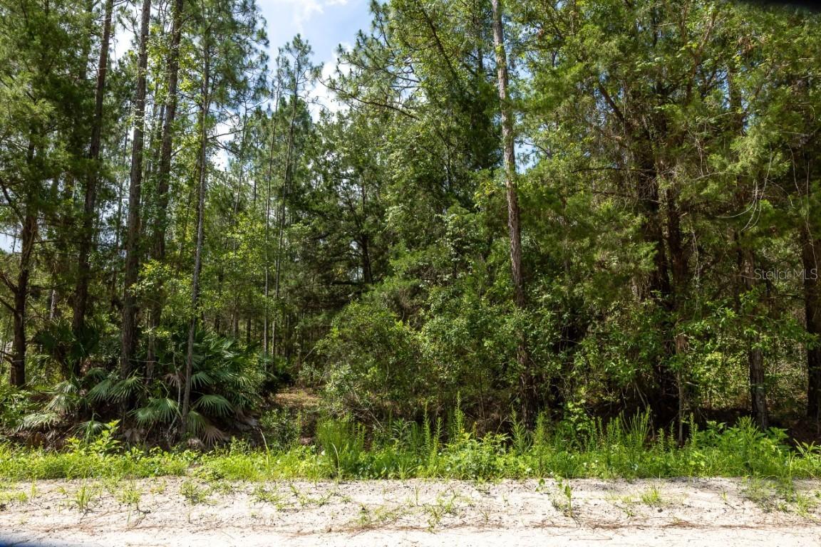 5661 Ironwood Ave., Bunnell, FL 32110