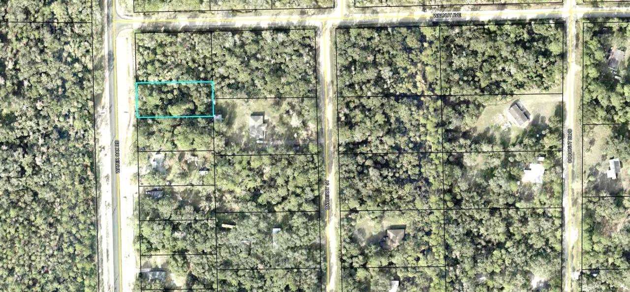 2289 Water Oak Rd., Bunnell, FL 32110