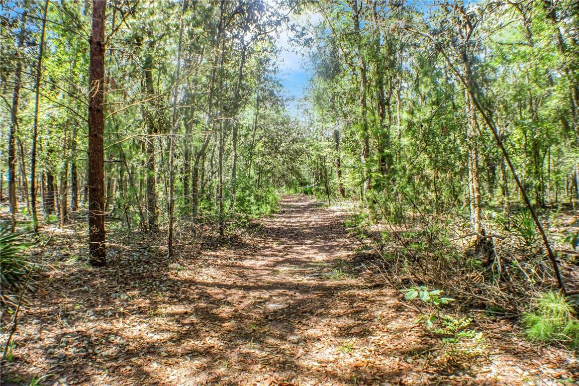 115 Coral Ave., Interlachen, FL 32148