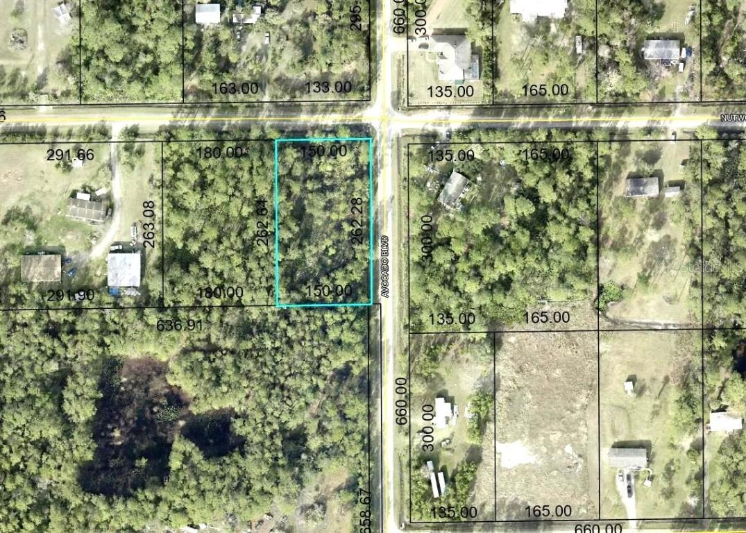 5958 Nutwood Ave., Bunnell, FL 32110