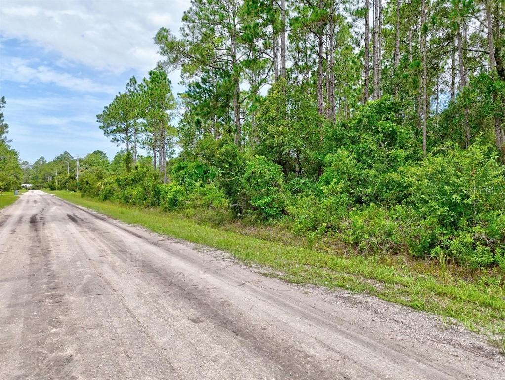 4168 Fruitwood Ave., Bunnell, FL 32110