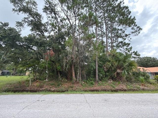 37 Princess Ruth Ln., Palm Coast, FL 32164