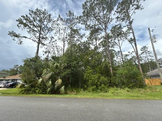 26 Westgrill Dr., Palm Coast, FL 32164