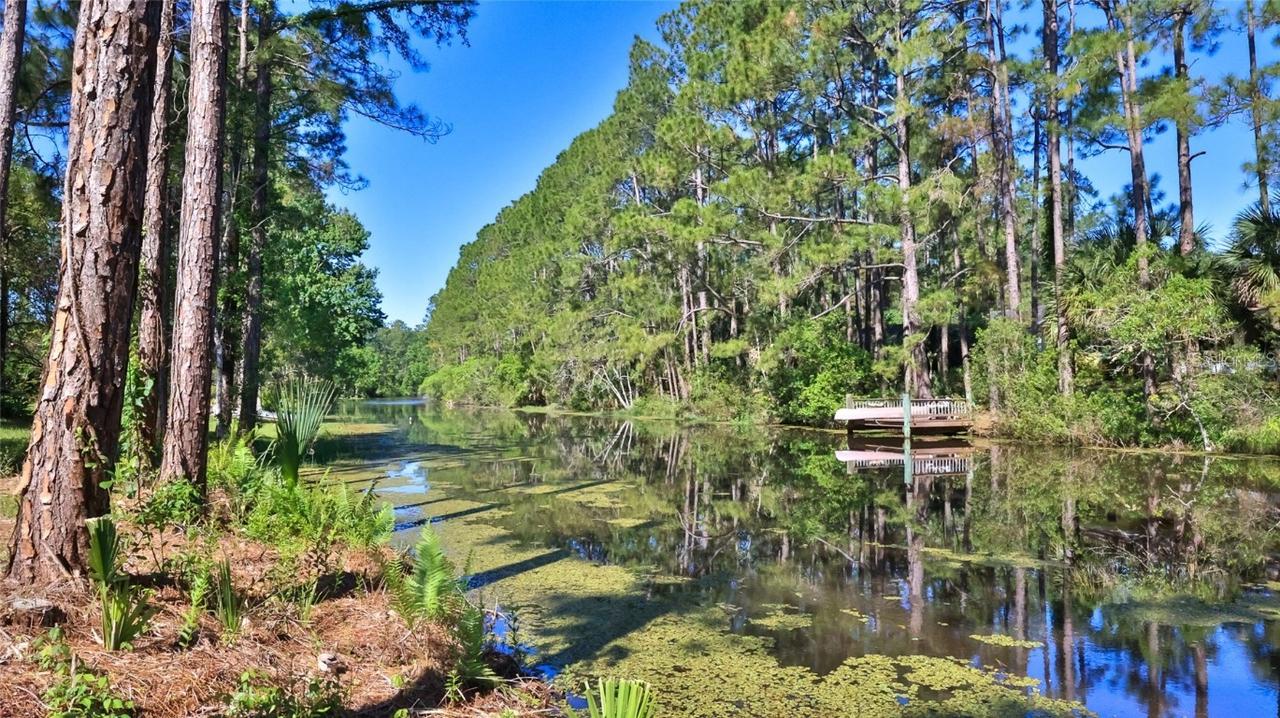 64 Whittington Dr., Palm Coast, FL 32164