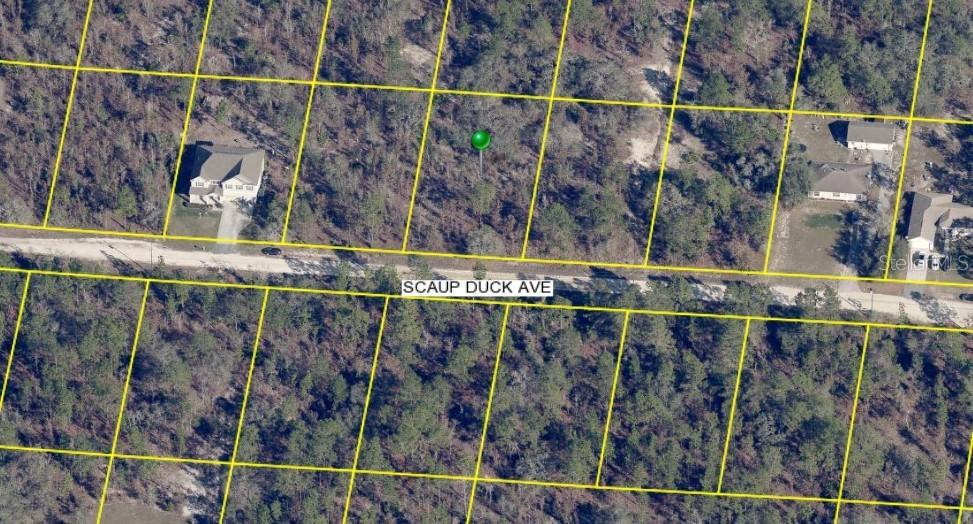 15163 Scaup Duck Ave., Weeki Wachee, FL 34614
