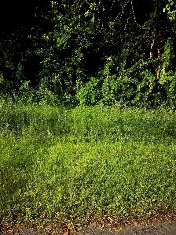 814 Massy Ct., Kissimmee, FL 34759