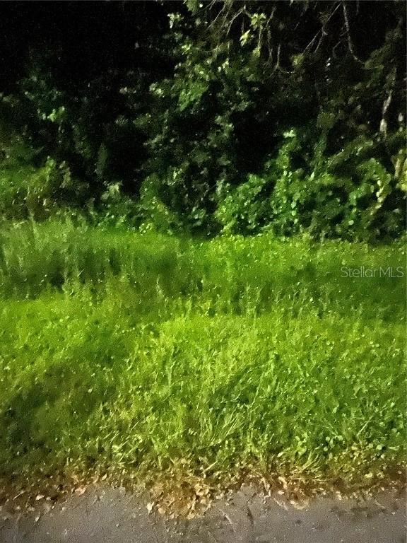 814 Massy Ct., Kissimmee, FL 34759