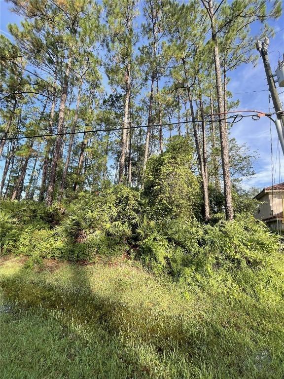 68 Eric Dr., Palm Coast, FL 32164