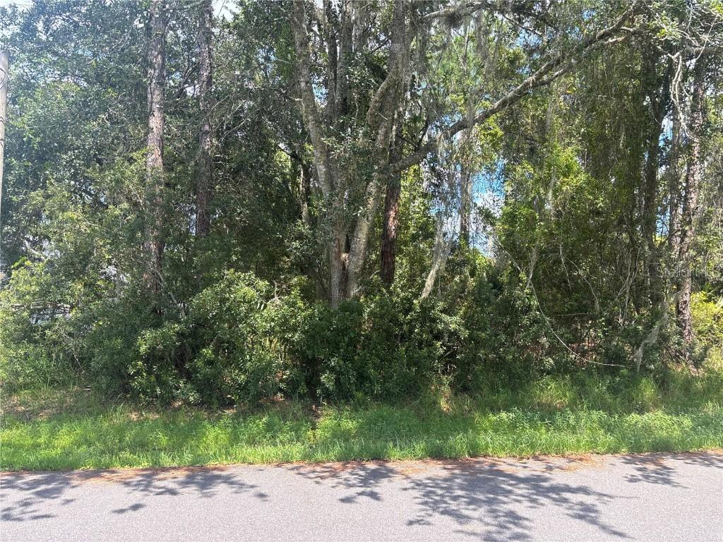 24 Zinnia Tr., Palm Coast, FL 32164