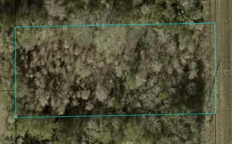 1366 County Road 305, Bunnell, FL 32110