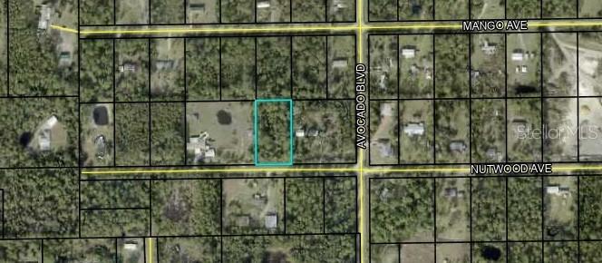 6044 Nutwood Ave., Bunnell, FL 32110
