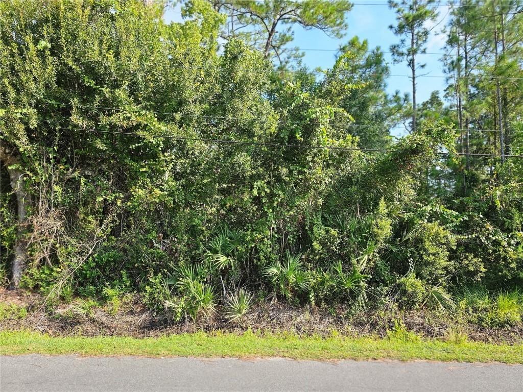 801 Franz St., Bunnell, FL 32110