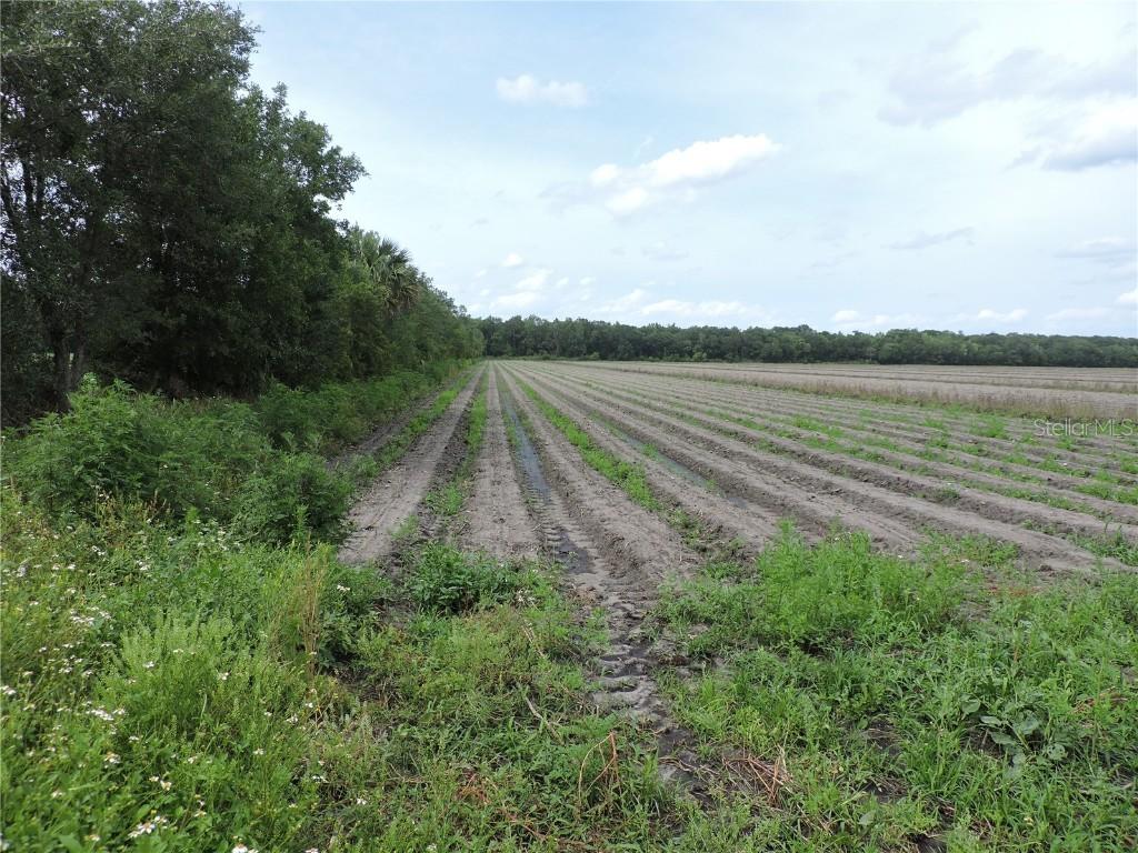 County Road 108 Rd., Bunnell, FL 32110