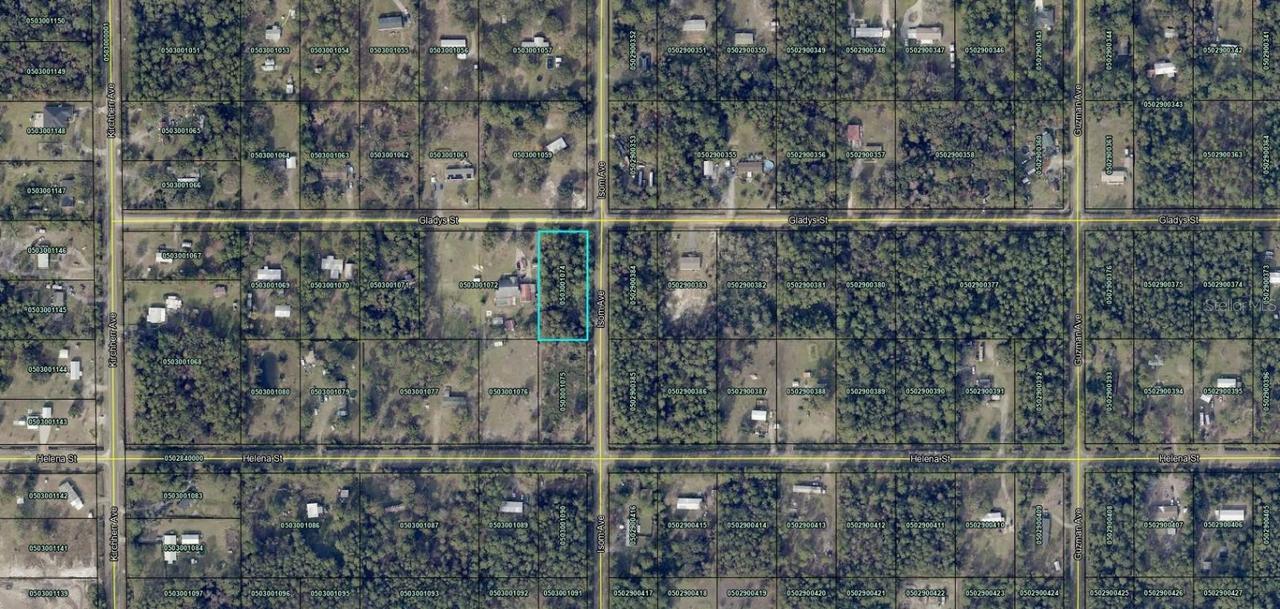 4405 Gladys St, Hastings, FL 32145