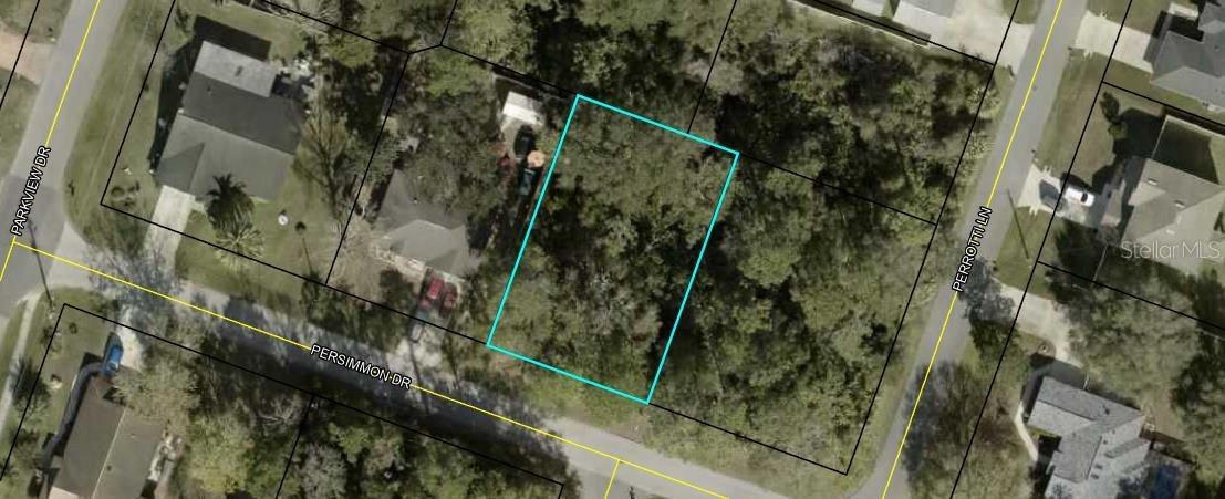 192 Persimmon Dr., Palm Coast, FL 32164