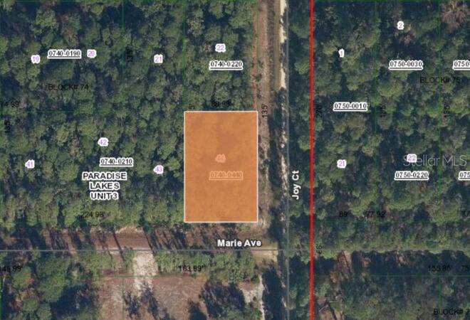 00 Marie Ave., Georgetown, FL 32139