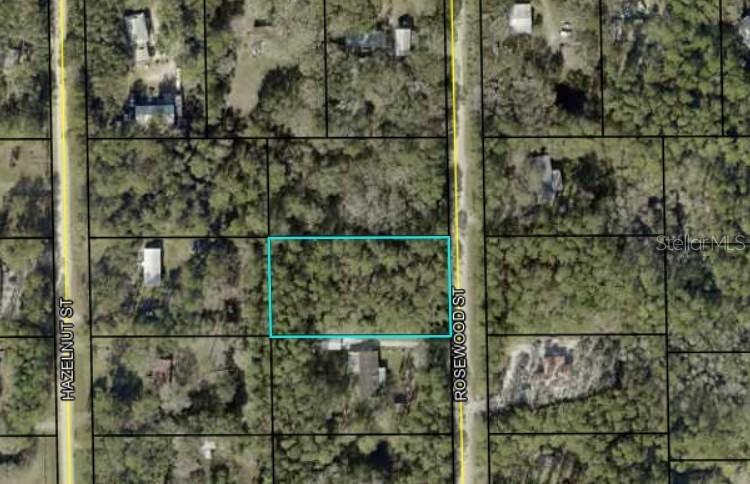 1102 Rosewood St., Bunnell, FL 32110