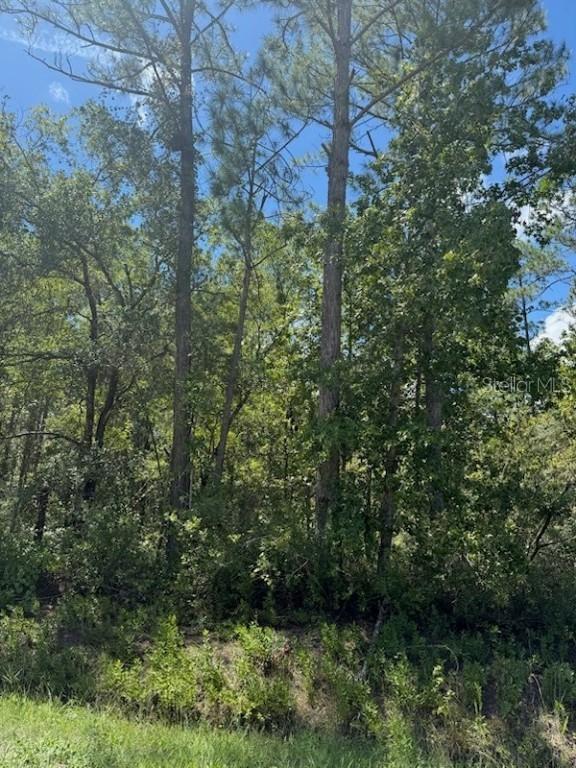 10345 Gregory Ave., Hastings, FL 32145
