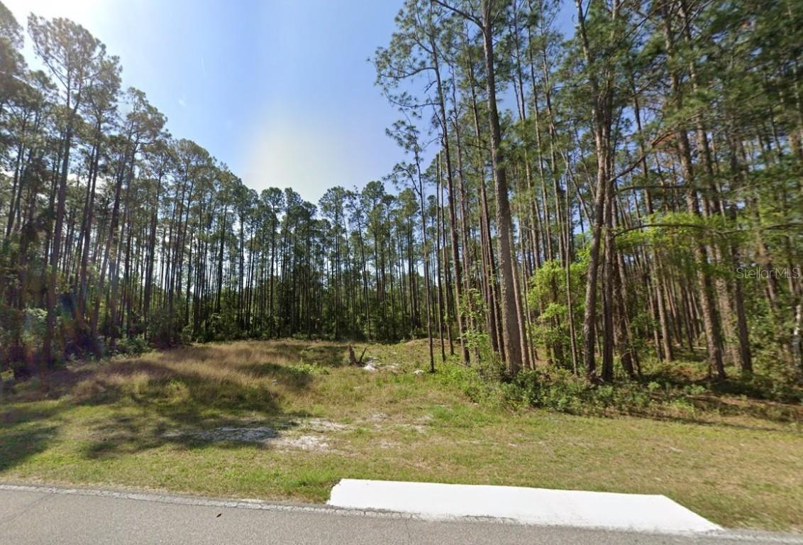 243 & 245 Georgetown Denver Rd., Georgetown, FL 32139