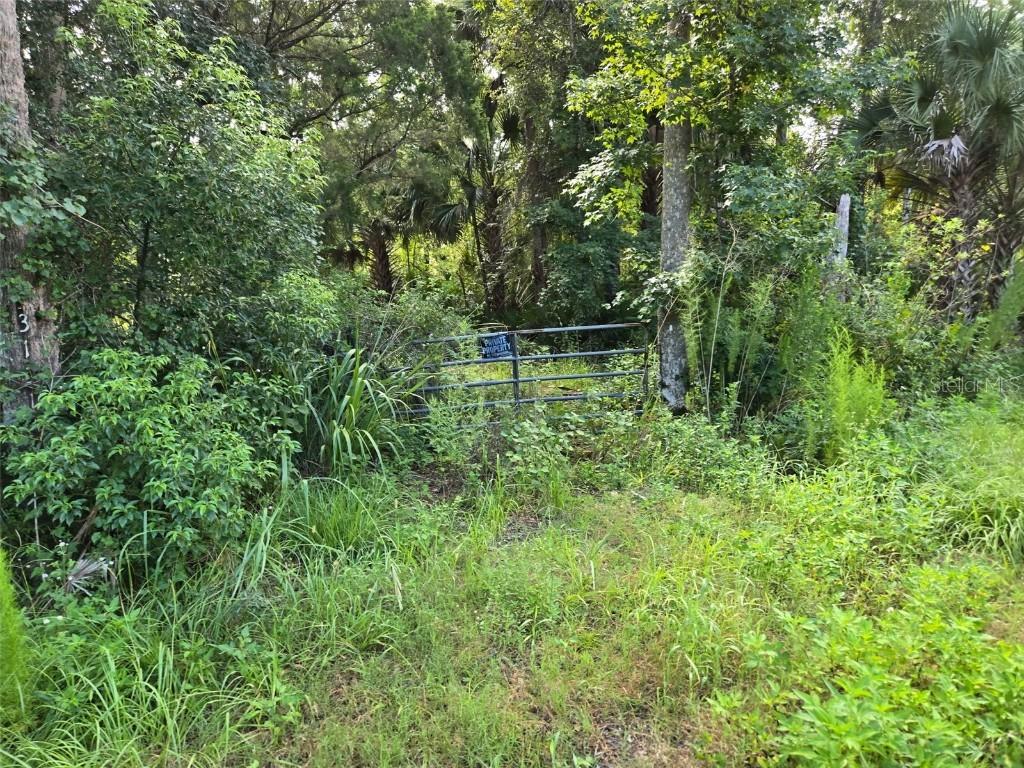3151 Water Oak Rd., Bunnell, FL 32110