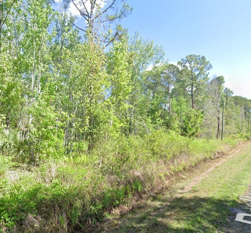 210 Redwood Blvd., Georgetown, FL 32139