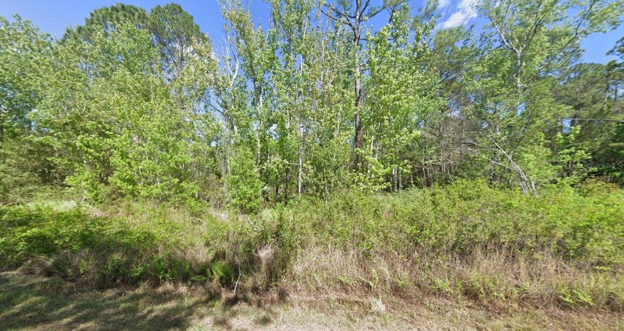 210 Redwood Blvd., Georgetown, FL 32139