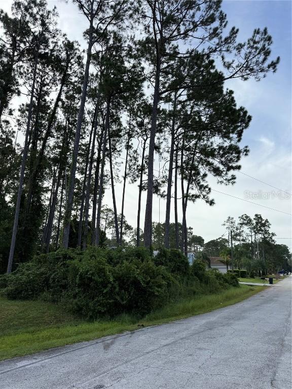 17 Egan Dr., Palm Coast, FL 32164