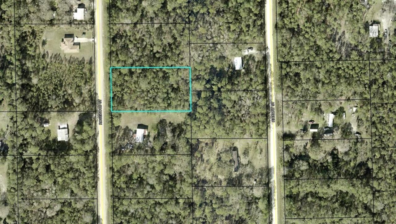 1259 Rosewood St., Bunnell, FL 32110