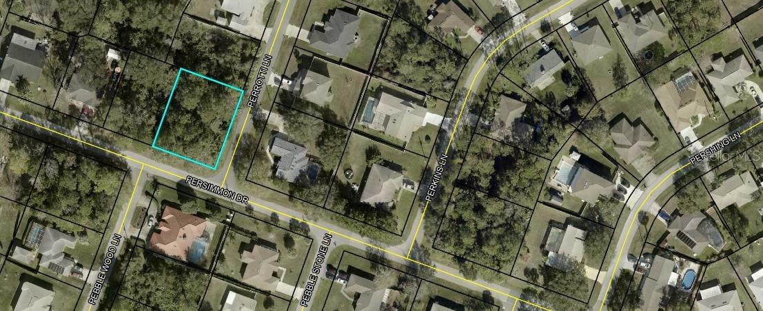 188 Persimmon Dr., Palm Coast, FL 32164
