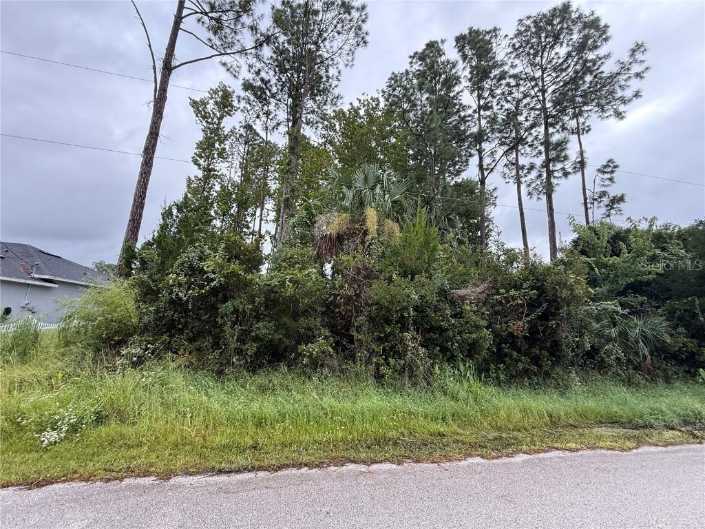 124 Fenimore Ln., Palm Coast, FL 32137