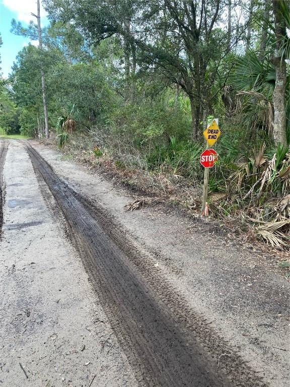 County Rd 335, Bunnell, FL 32110