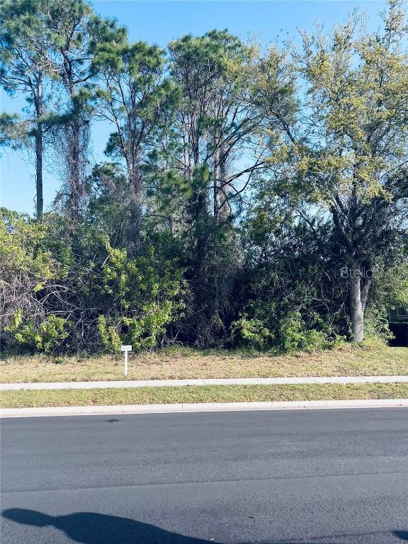 91 Emerald Lake Dr., Palm Coast, FL 32137