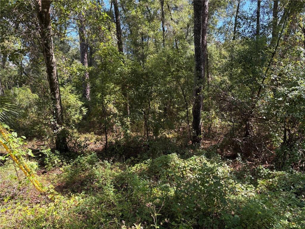 1228 Clover Ter., Inverness, FL 34452